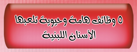 07_message_Ar..jpg