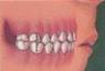 Ortho0602.jpg