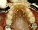 ortho5.jpg